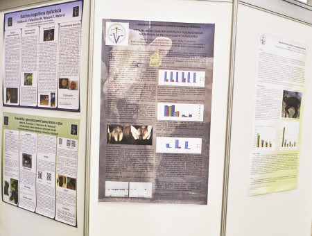 poster fotka2
